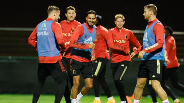 <p>Die Roten Teufel treffen in Löwen auf Wales und Belarus.</p>