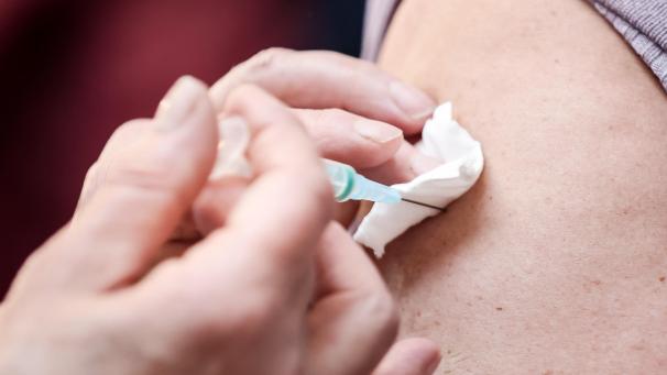 <p>BELGAIMAGE-172655588</p>