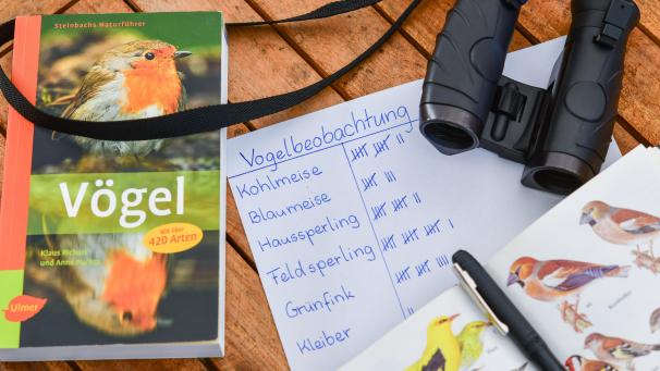 <p>Auch in diesem Jahr hat Natagora landesweit eine Zählaktion der Gartenvögel gestartet.</p>