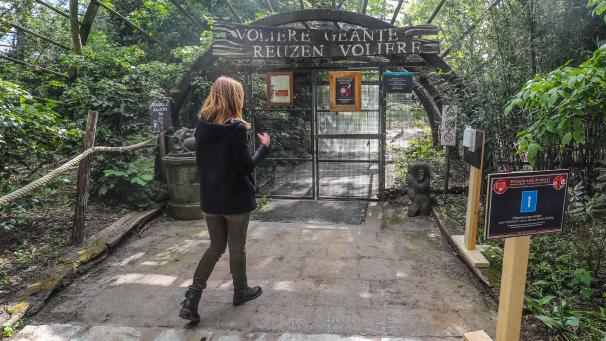 <p>Die Türen öffnen sich wieder im Pairi-Daiza-Zoo in Brugelette.</p>