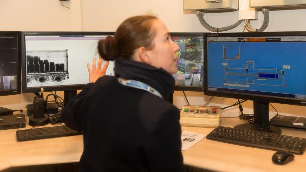 <p>Der Zoll hatte im vergangenen Jahr viel zu tun.</p>