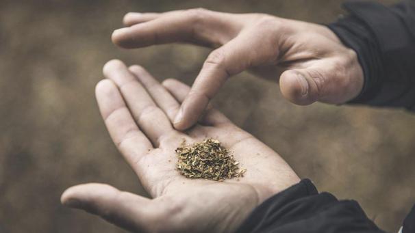 <p>Wegen verschiedener Verstöße in vier Akten muss ein 40-jähriger Eupener zwei Jahre ins Gefängnis.</p>