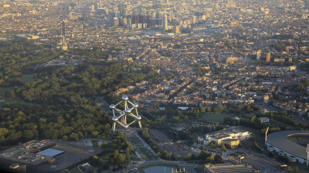 <p>Sichert sich Brüssel noch einmal den Titel?</p>