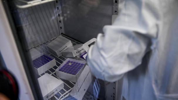 <p>Impfstoffdosen in einem Lagerkühlschrank</p>