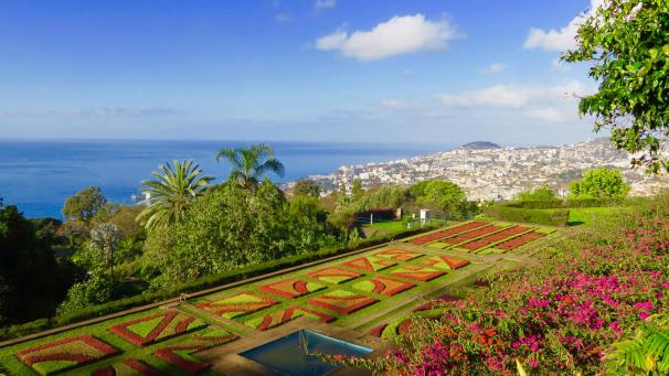 <p>Madeira ist eines der Reiseziele, die Geimpfte und Genesene wieder ohne weitere Auflagen einreisen lassen.</p>