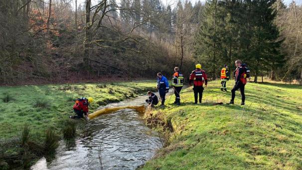 <p>Bis zu 40 Personen waren im Einsatz.</p>