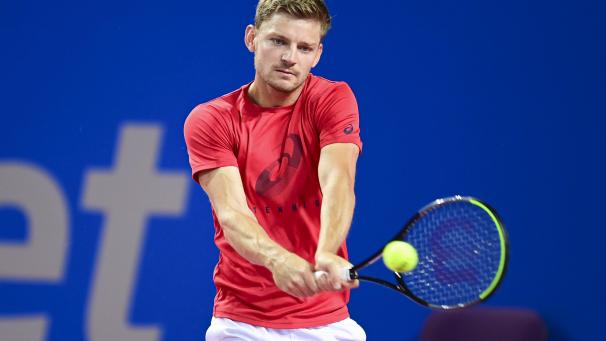 <p>David Goffin</p>