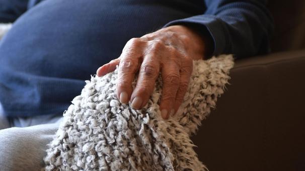 <p>Illustration: Photo News</p>