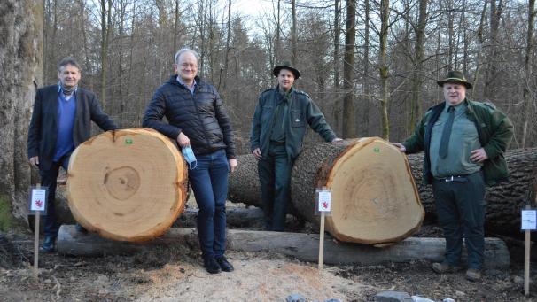 <p>Die Gemeinde St.Vith, vertreten durch Schöffe René Hoffmann und Bürgermeister Herbert Grommes, und das Forstamt St.Vith, hier mit Leiter Pascal Mertes und Revierförster Stefan Johanns, zeigten sich am Wertholzlagerplatz über den Erfolg der Eichen aus dem St.Vither Wald erfreut.</p>