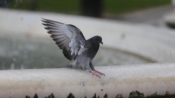 <p>Winterwetter_in_Gros_68368180</p>