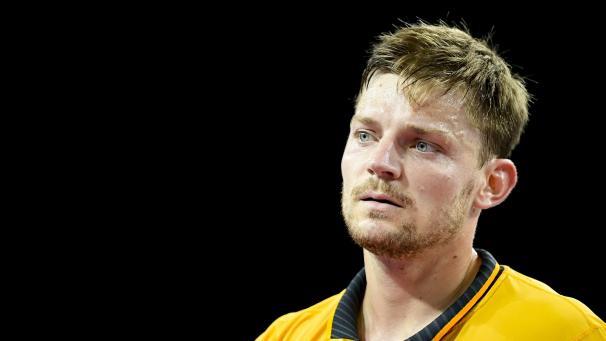 <p>David Goffin</p>