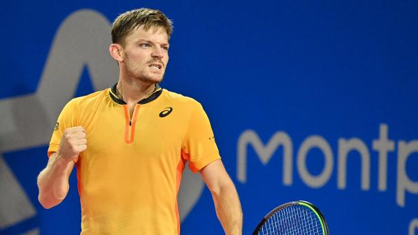 <p>David Goffin</p>