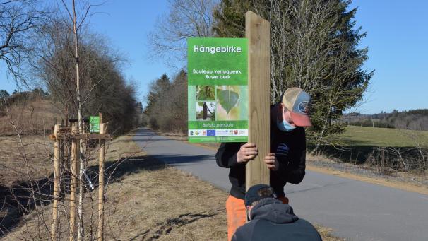 <p>Die Büllinger Gemeindearbeiter sind mit der Installation der Informationstafeln beschäftigt.</p>