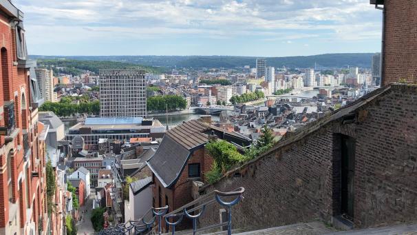 <p>Blick vom Scheitelpunkt der Treppe ins Maastal - einst Region der Schwerindustrie.</p>