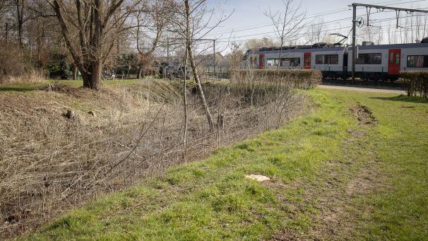 <p>Die Leiche des Opfers wurde nach Angaben der Staatsanwaltschaft in Ostflandern am Samstag in einem Park in Beveren entdeckt.</p>