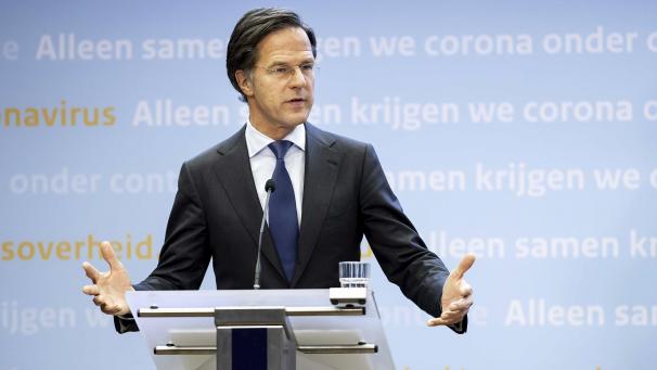 <p>rutte</p>