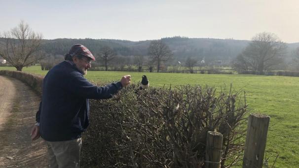 <p>Die Elster „Paul“ ist sehr zutraulich und nähert sich vorbeikommenden Spaziergängern, um Futter abzustauben.</p>