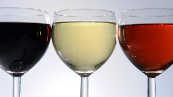 <p>Kattrin Jadin will sich für die Absenkung der Akzisen auf Wein und Spirituosen einsetzen.</p>