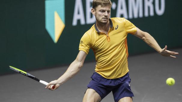 <p>David Goffin</p>