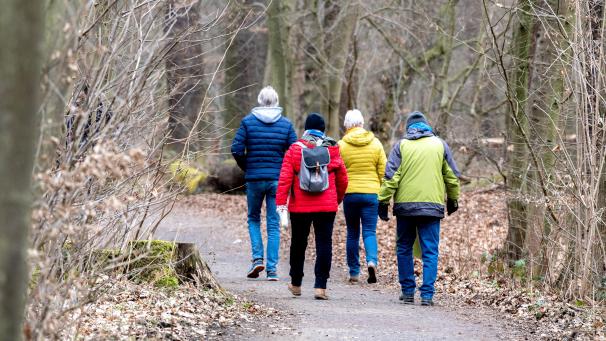 <p>Ob in Parks, Wäldern oder zwischen Feldern: In der Corona-Krise ist der gute alte Spaziergang verstärkt in Mode gekommen.</p>