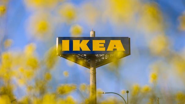 <p>BELGAIMAGE-173669974</p>