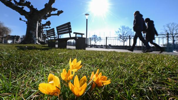 <p>urn:newsml:dpa.com:20090101:210321-99-913820</p>