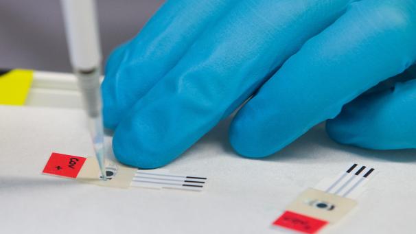 <p>belgaimage-165584163-full</p>