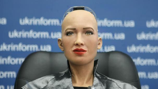 <p>So sieht der humanoide Roboter Sophia aus.</p>