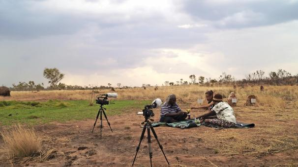 <p>Eine Aufgabe des Linguisten ist, die Sprache aufzunehmen, zu transkribieren und zu analysieren.</p>