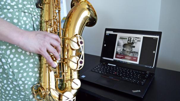 <p>Der Musikverband Födekam lädt zum kostenlosen Online-Seminar „Animato“.</p>