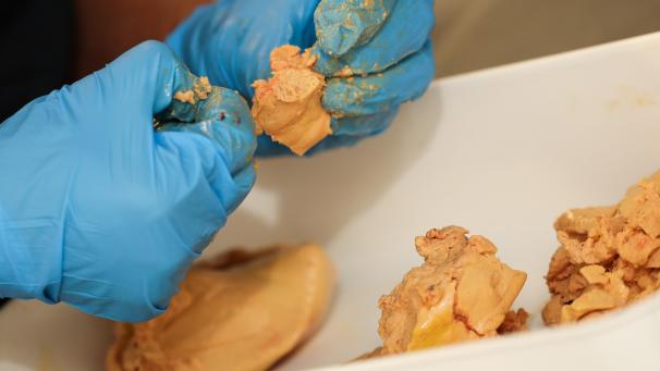 <p>„Foie gras“ wird vor allem in der Wallonie produziert.</p>