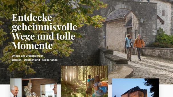 <p>Blick auf die Startseite des neuen Webauftritts</p>