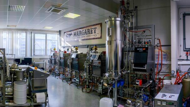 <p>L8 - The Cattle Drive_3</p>