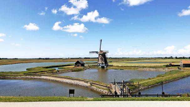 <p>Buchstäblich malerisch: eine Windmühle an der Wattenseite der Insel, vom Deich aus gesehen.</p>