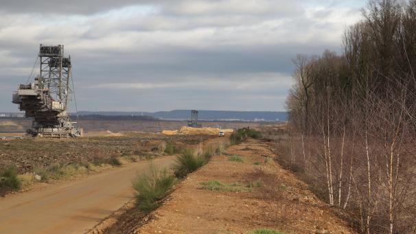 <p>Der Hambacher Forst ist zum deutschlandweiten Symbol des Widerstandes gegen die Braunkohle geworden.</p>