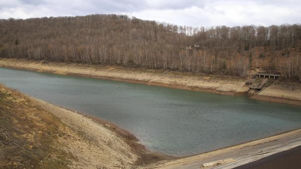 <p>Die Fische werden während der Arbeiten in das obere Becken umgesiedelt. Dort müssen sie gefüttert werden.</p>