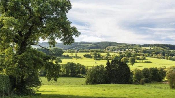 <p>2028_resized_1200_600_90_6079736bd785a_web_bellevaux_ameltal-c-ostbelgien.eu_dom</p>