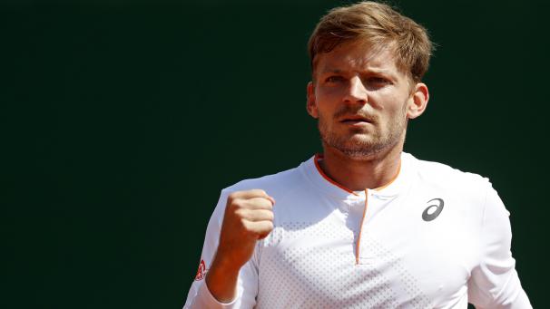 <p>David Goffin</p>