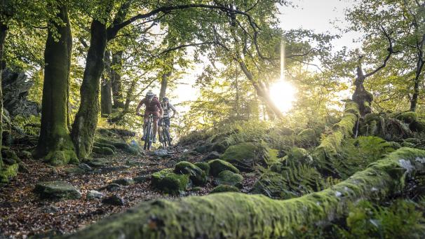 <p>3.500 Starter werden in der Saison 2021 auf dem 176 km langen Stoneman Arduenna erwartet.</p>