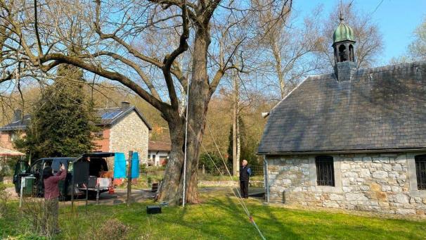 <p>Die Linde an der Rochuskapelle in Kelmis wurde unter die Lupe genommen.</p>