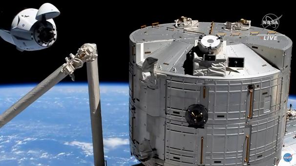 <p>BELGAIMAGE-175617301</p>