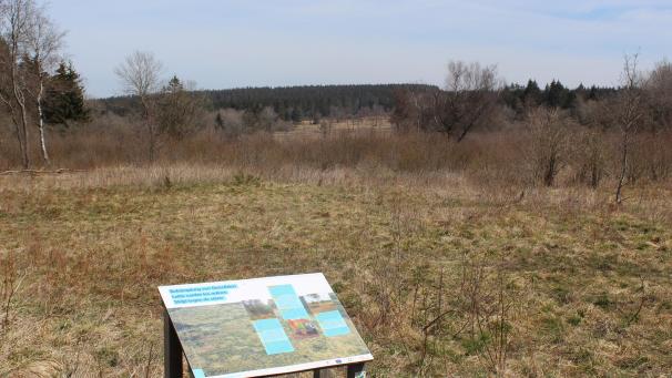 <p>Vom Parkplatz „Grenzweg“ am Brackvenn (Eupener Straße) aus dürfte der Aussichtsturm unweit des Mützenicher Stelings gut erkennbar sein. Im Juni sollen die umfangreichen Bauarbeiten beginnen.</p>
