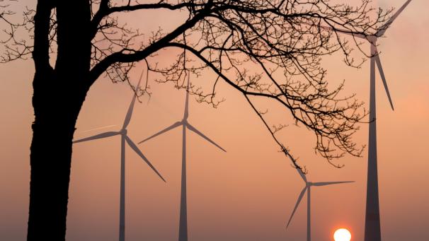 <p>In einem Waldgebiet zwischen Beho und Courtil könnte ein Windpark entstehen.</p>