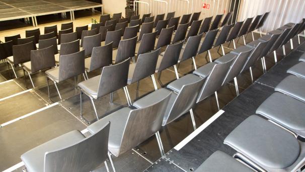 <p>„Es ist nicht nachvollziehbar, warum die Kultur in der Prioritätenliste soweit unten steht“, kritisiert Chudoscnik Sunergia.</p>