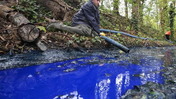<p>Blaues Wasser fließt durch einen Bach in Ghlin.</p>