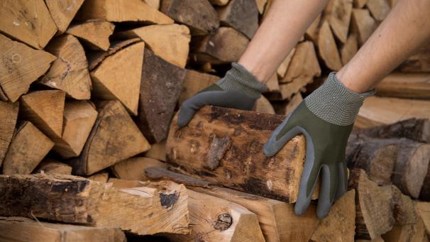 <p>Nicht nur mit dem Starkholz-Verkauf, auch mit dem Verkauf von Brennholz ist die Gemeinde Büllingen in diesem Jahr sehr zufrieden.</p>