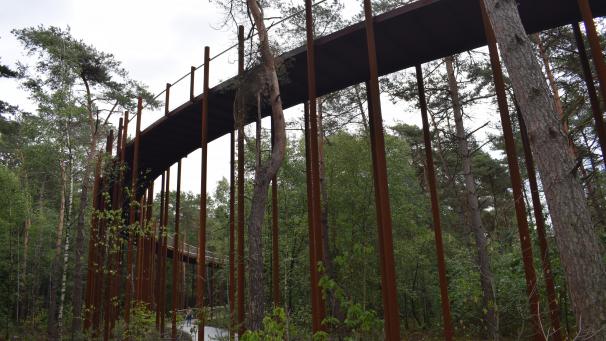 <p>„Radeln durch die Bäume“ in Bosland ist ein einzigartiges Fahrraderlebnis. Sie radeln bis zu einer Höhe von zehn Metern. Der Radweg wurde im Juni 2019 eröffnet.</p>