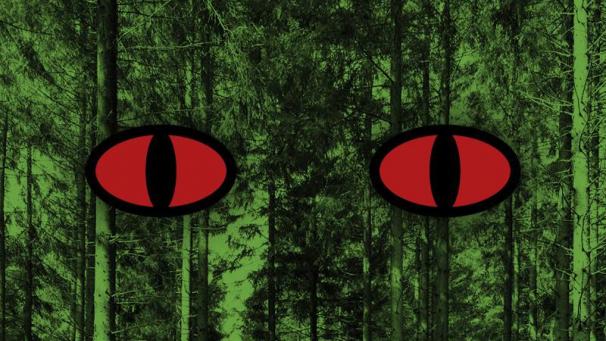 <p>Mit viel Humor und Ironie geht das Märchen „Der Drache“ der Frage nach, inwiefern ein Einzelner die Welt verändern kann.</p>