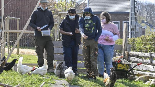 <p>Auf gutes Futter kommt es an: Erzieher Christoph Franssen (l.) kümmert sich mit den Schülern Ali, Cédric und Sarah um die Tiere.</p>