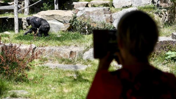 <p>Ein Blick in den Antwerpener Zoo</p>